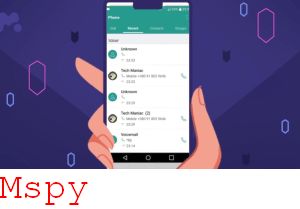 Mspy Kosten